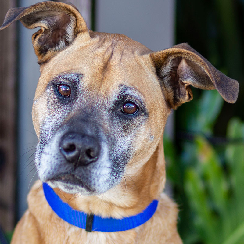 Buck Lighting & Electrical Associates